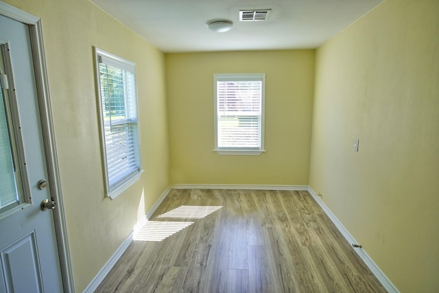 empty room with a wealth of natural light and light wood-type flooring