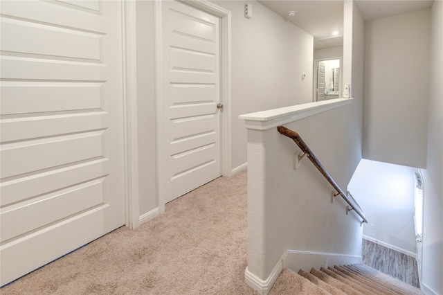 stairway with carpet