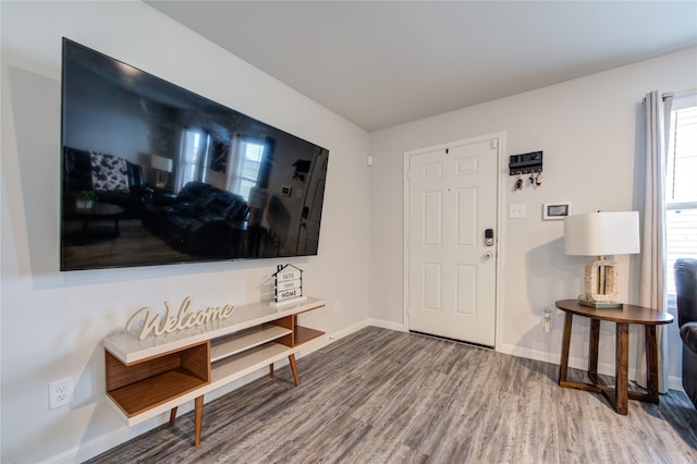 foyer entrance with wood-type flooring