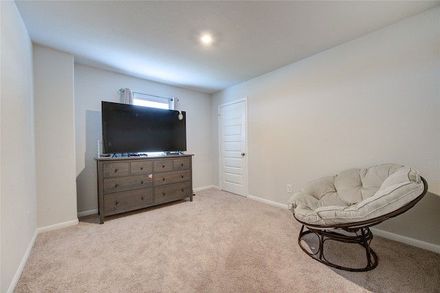 sitting room with light carpet