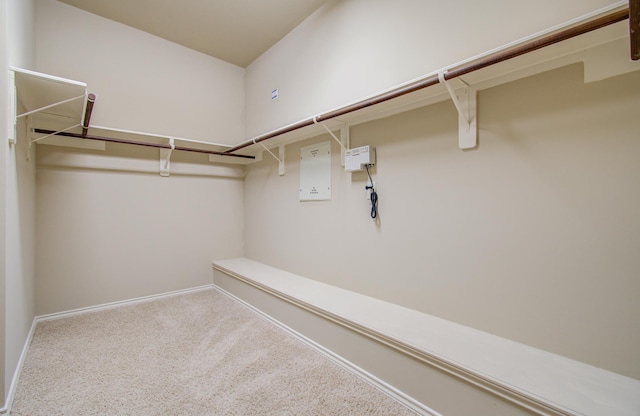 spacious closet featuring carpet flooring