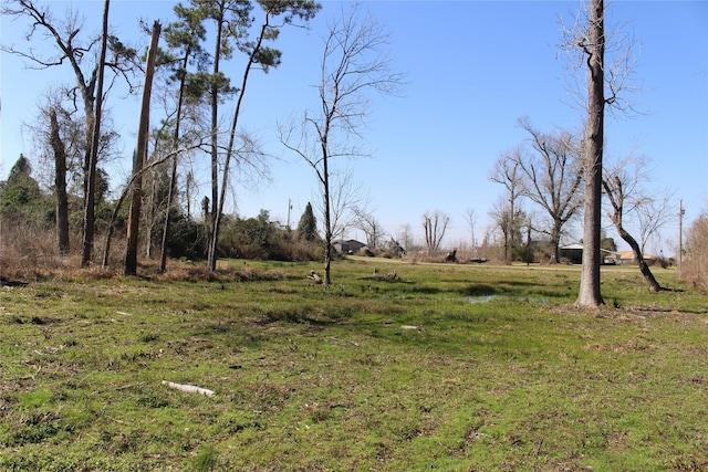 Listing photo 2 for 0 Charbra, Onalaska TX 77360