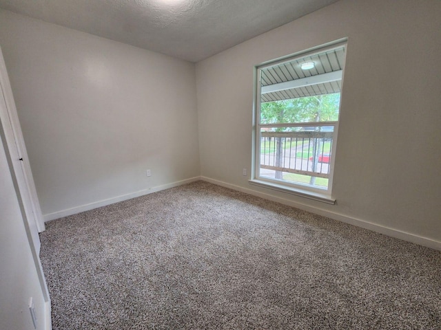 spare room with carpet and a textured ceiling