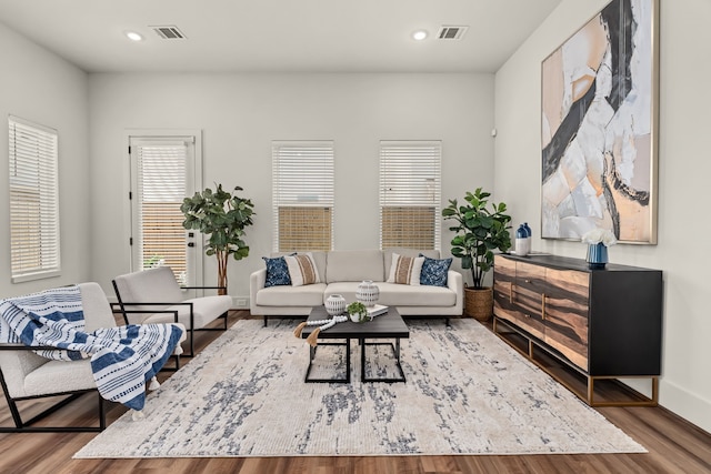 living room with wood-type flooring