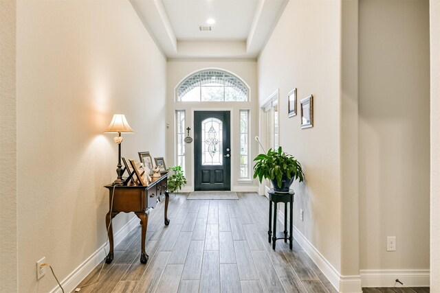 foyer entrance featuring a raised ceiling