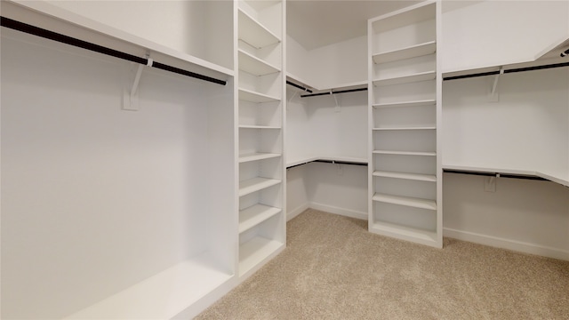 walk in closet with light carpet