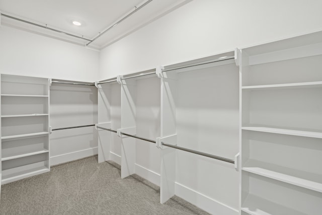 walk in closet with light carpet