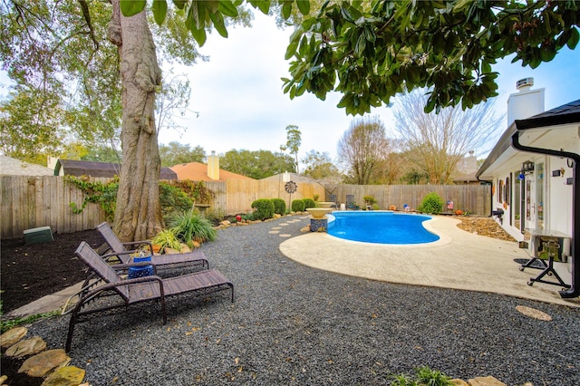 view of pool with a patio area