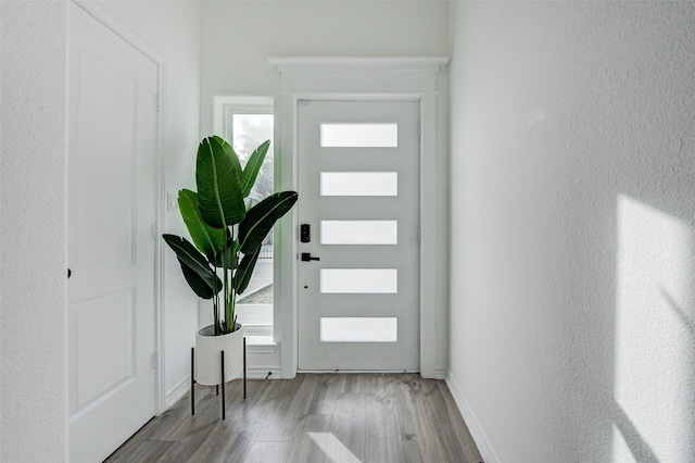 foyer entrance with wood-type flooring and plenty of natural light