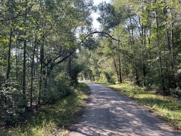 view of road