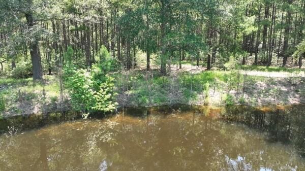 view of local wilderness with a water view