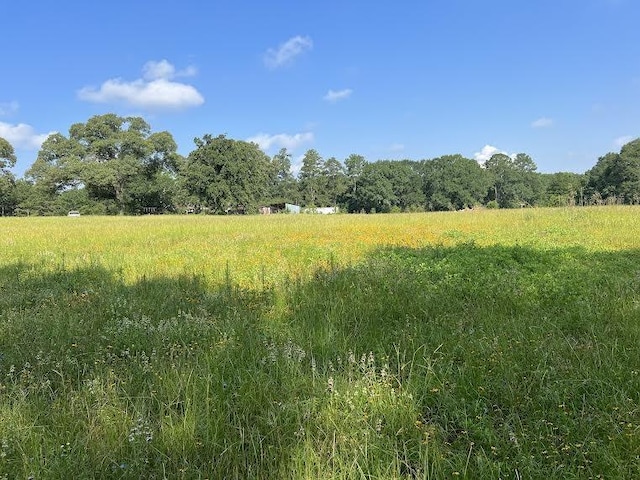 view of local wilderness featuring a rural view