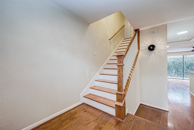 staircase featuring hardwood / wood-style floors and ceiling fan