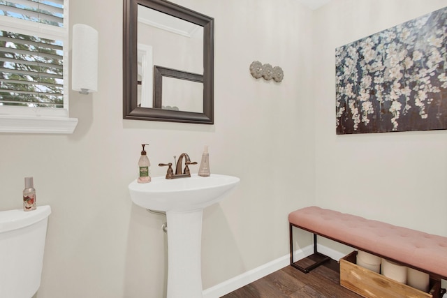 bathroom with wood-type flooring and toilet