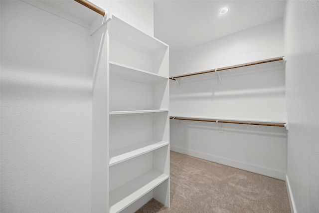 walk in closet with light carpet