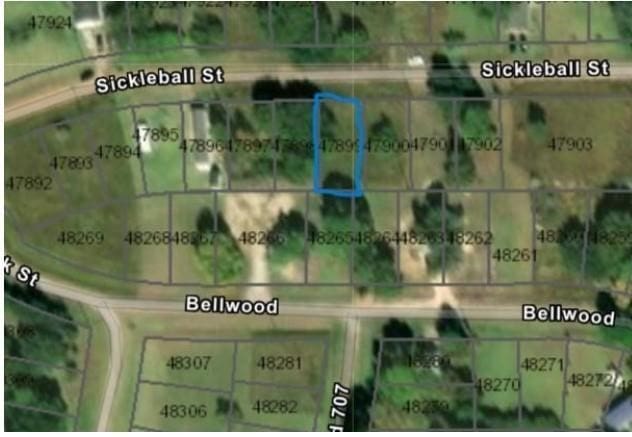 LOT1033 Sickleball St, Palacios TX, 77465 land for sale