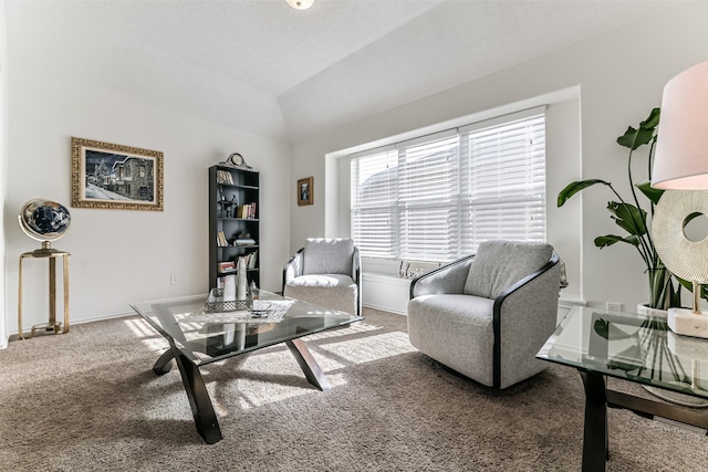 living room with carpet and vaulted ceiling