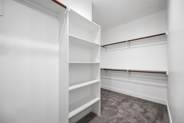745 20th St, Hempstead, TX 77445 - spacious closet featuring dark colored carpet