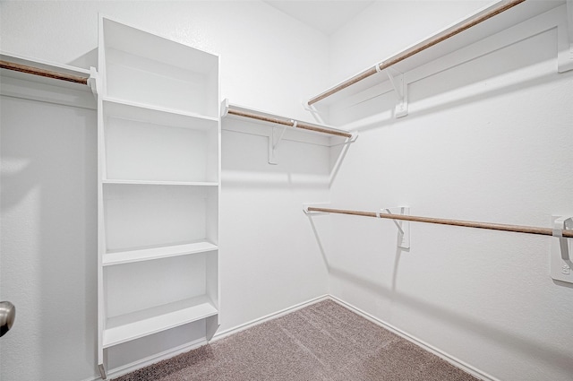 walk in closet featuring carpet floors