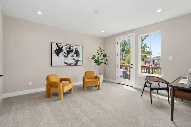 sitting room featuring light carpet