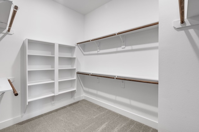 spacious closet featuring carpet flooring