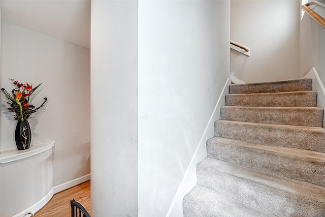 staircase featuring hardwood / wood-style floors