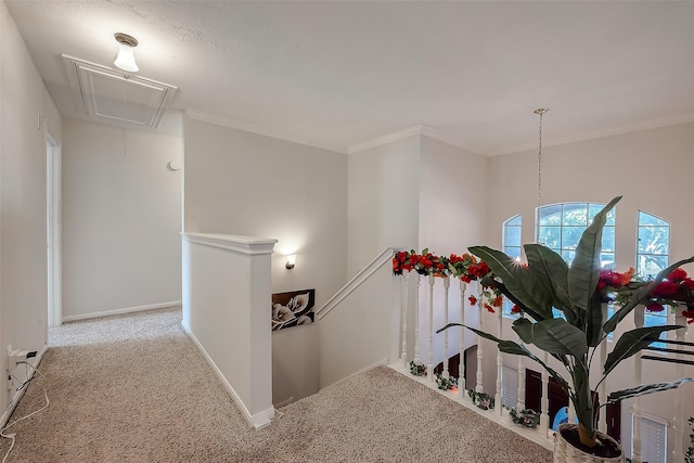 hallway featuring light colored carpet and crown molding