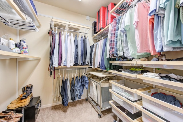 walk in closet featuring light carpet