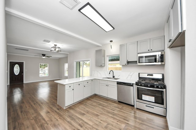 kitchen with appliances with stainless steel finishes, sink, wood-type flooring, and plenty of natural light