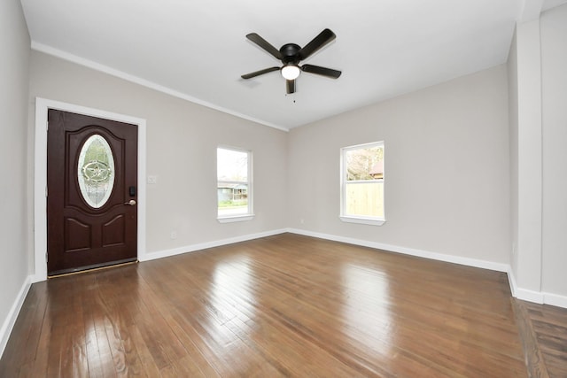 foyer entrance with ceiling fan, ornamental molding, and dark hardwood / wood-style flooring