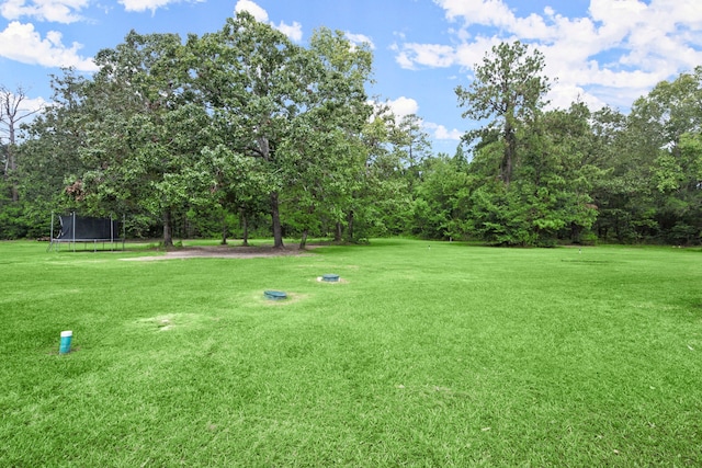 view of yard with a trampoline