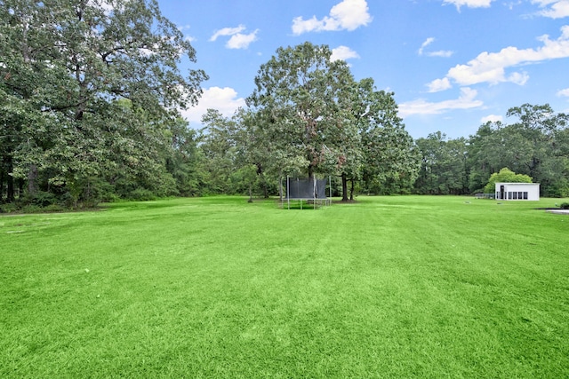 view of yard with a trampoline