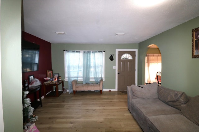 living room featuring wood-type flooring