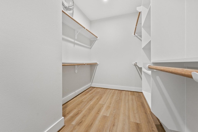 spacious closet featuring light hardwood / wood-style flooring