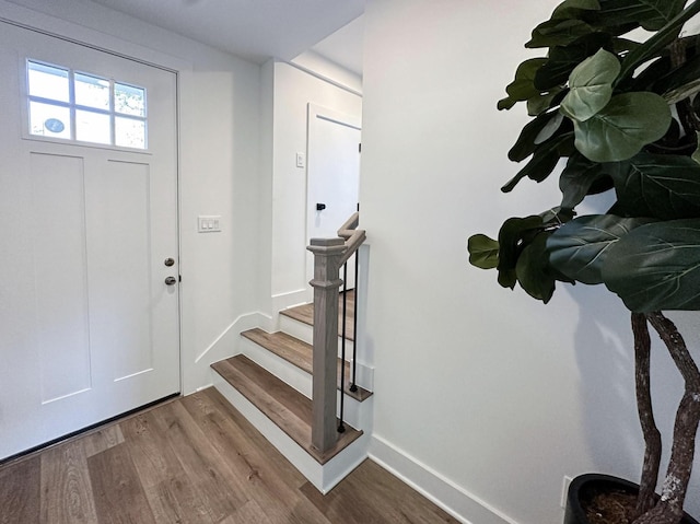 foyer entrance with wood-type flooring