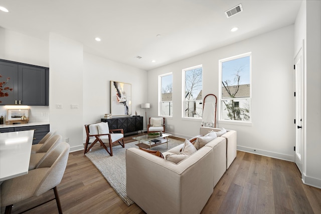 living room featuring wood-type flooring