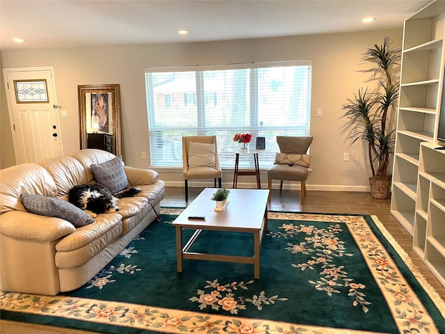 living room with dark hardwood / wood-style floors