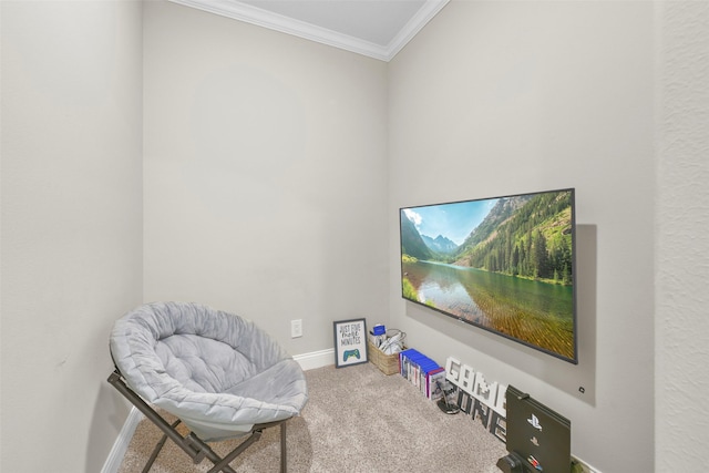 living area featuring crown molding and carpet floors