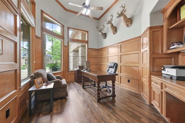 office with dark hardwood / wood-style floors, ceiling fan, and ornamental molding