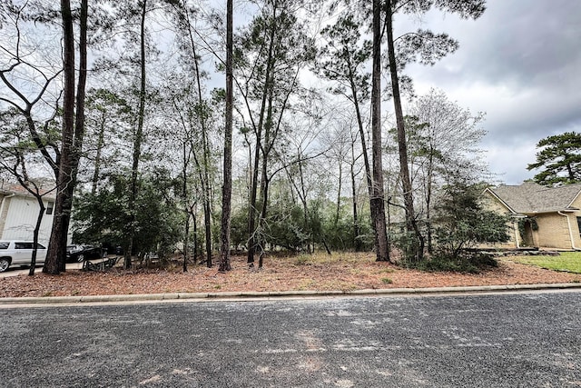 502 Broadmoor Dr, Huntsville TX, 77340 land for sale