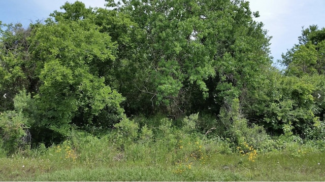 Listing photo 2 for TBD N Belt St, Brazoria TX 77422