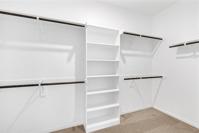 spacious closet with light colored carpet