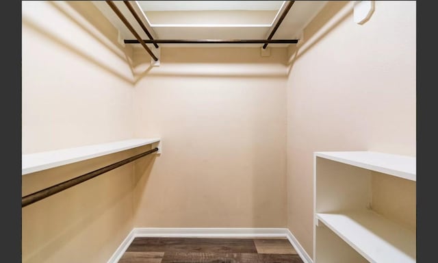 walk in closet featuring dark hardwood / wood-style floors