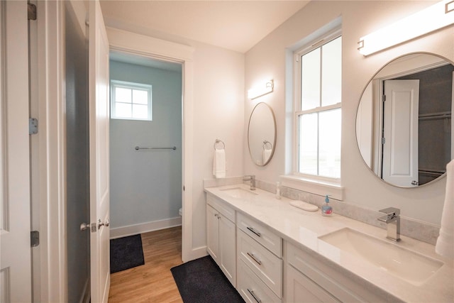 bathroom with wood-type flooring, vanity, and toilet