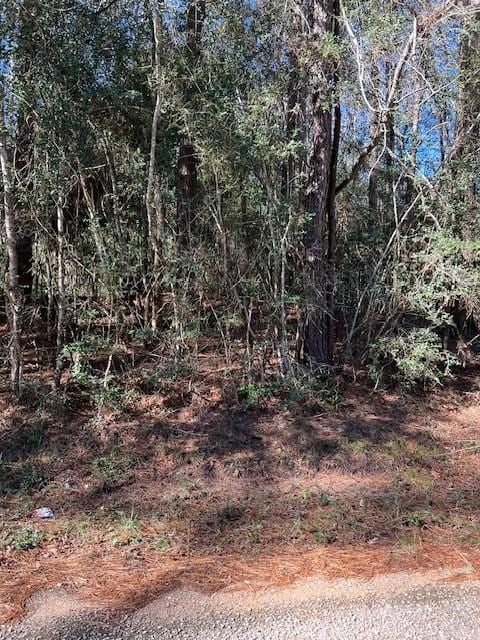 Listing photo 2 for TBD Road 2753, Cleveland TX 77327