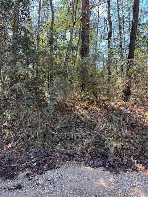 Listing photo 3 for TBD Road 2753, Cleveland TX 77327