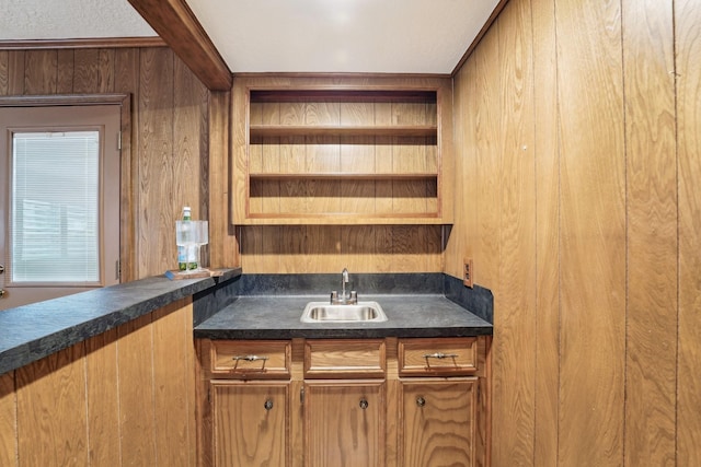 bar with sink and wooden walls