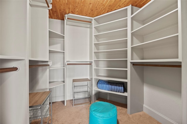 walk in closet with light colored carpet