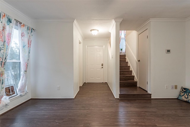 foyer entrance featuring dark hardwood / wood-style flooring, crown molding, and a wealth of natural light