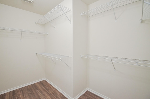 spacious closet featuring dark hardwood / wood-style flooring